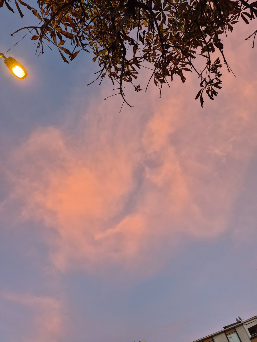 Her şey üst üste geldiğinde durmak kayıp değil.

Kalbini ve kafanı yoran şeylerden biraz uzaklaşınca,

İnsan yeniden nefes almayı ve yolunu hatırlıyor.

Işık hâlâ orada...........🌞