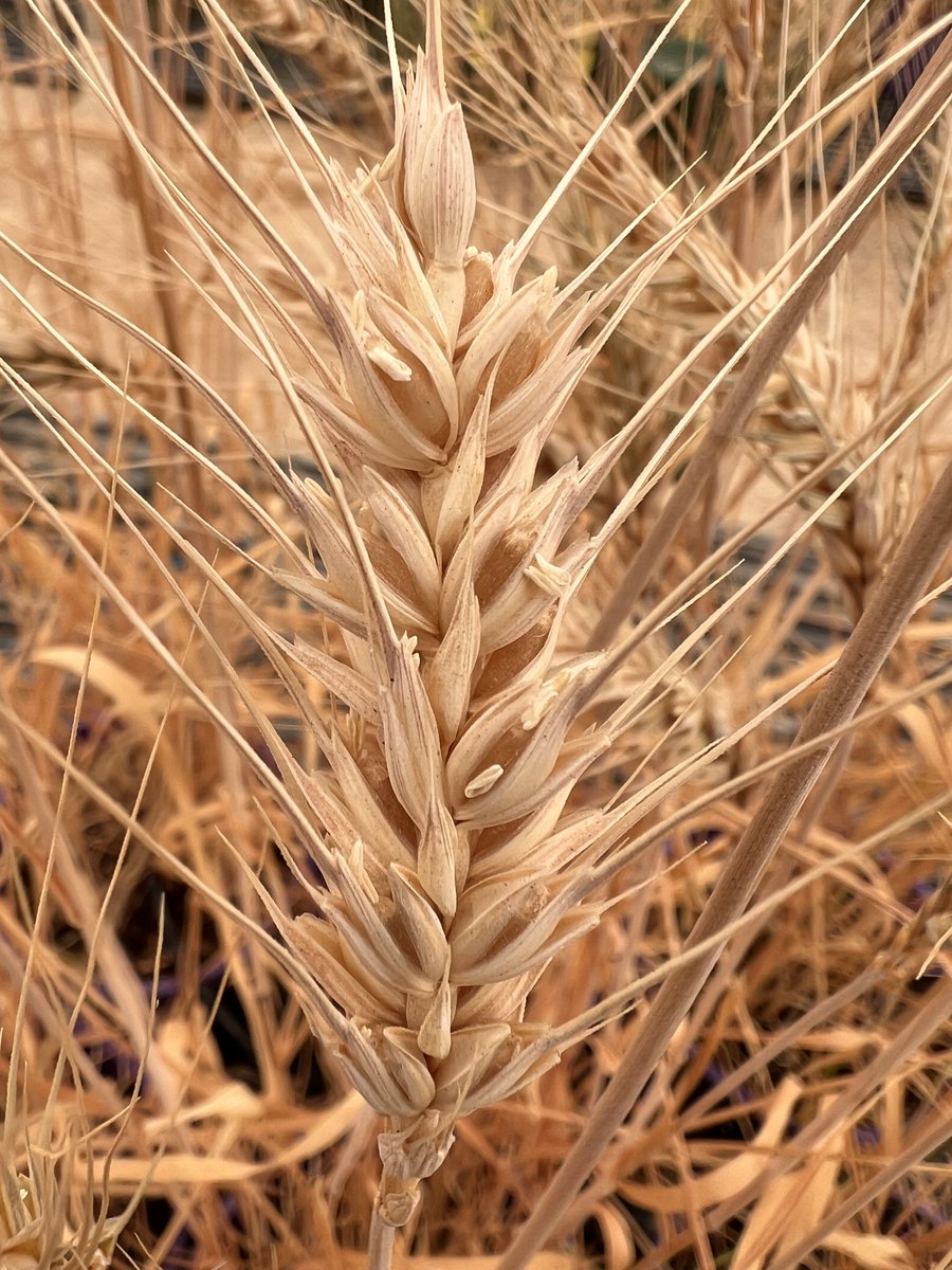 Sivakumar Sukumaran tweet media