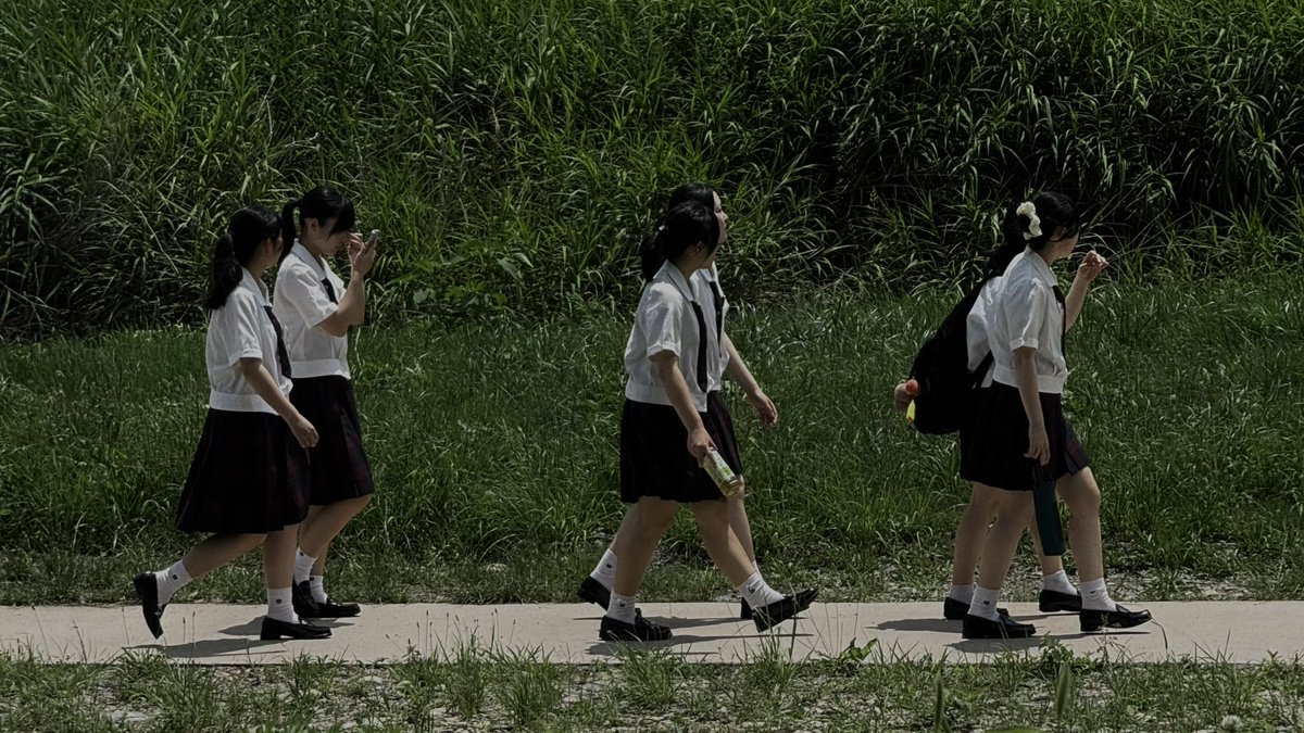 saintgumi's tweet image. i love coming back to my green