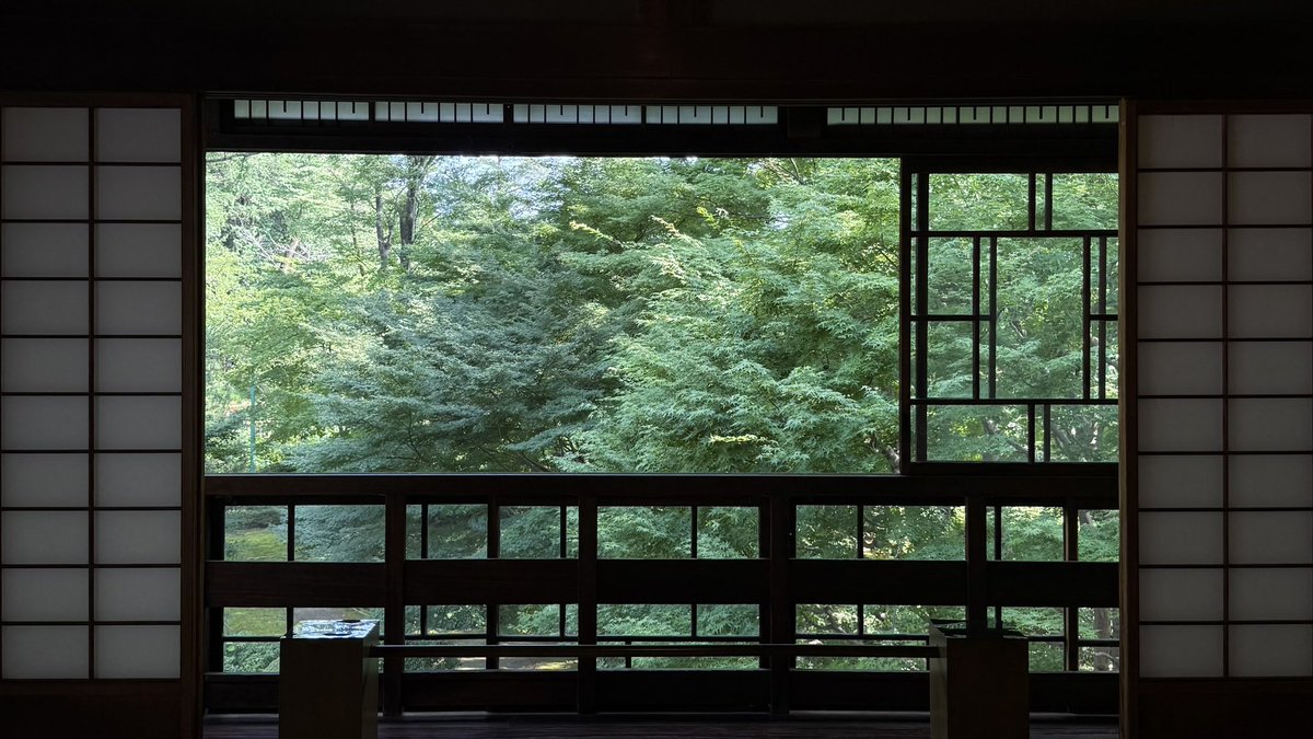 saintgumi's tweet image. i love coming back to my green