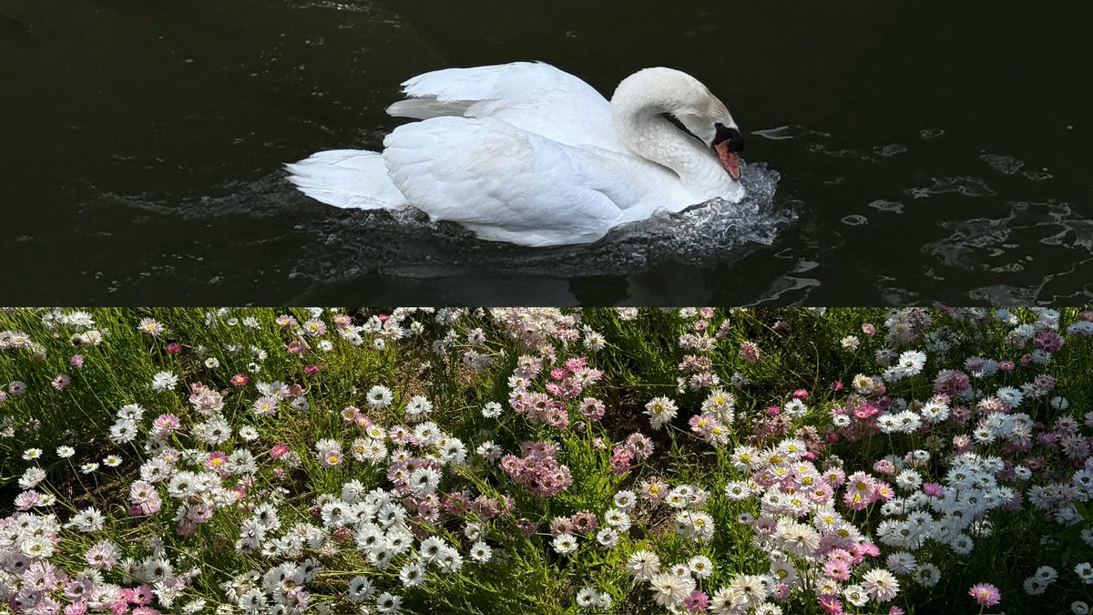 saintgumi's tweet image. i love coming back to my green