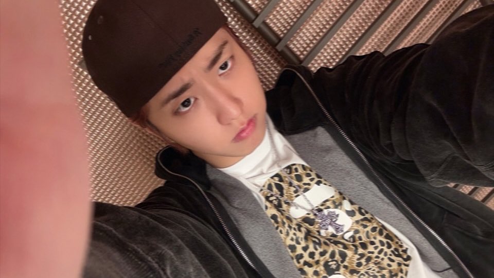 likehanji's tweet image. my honest reaction