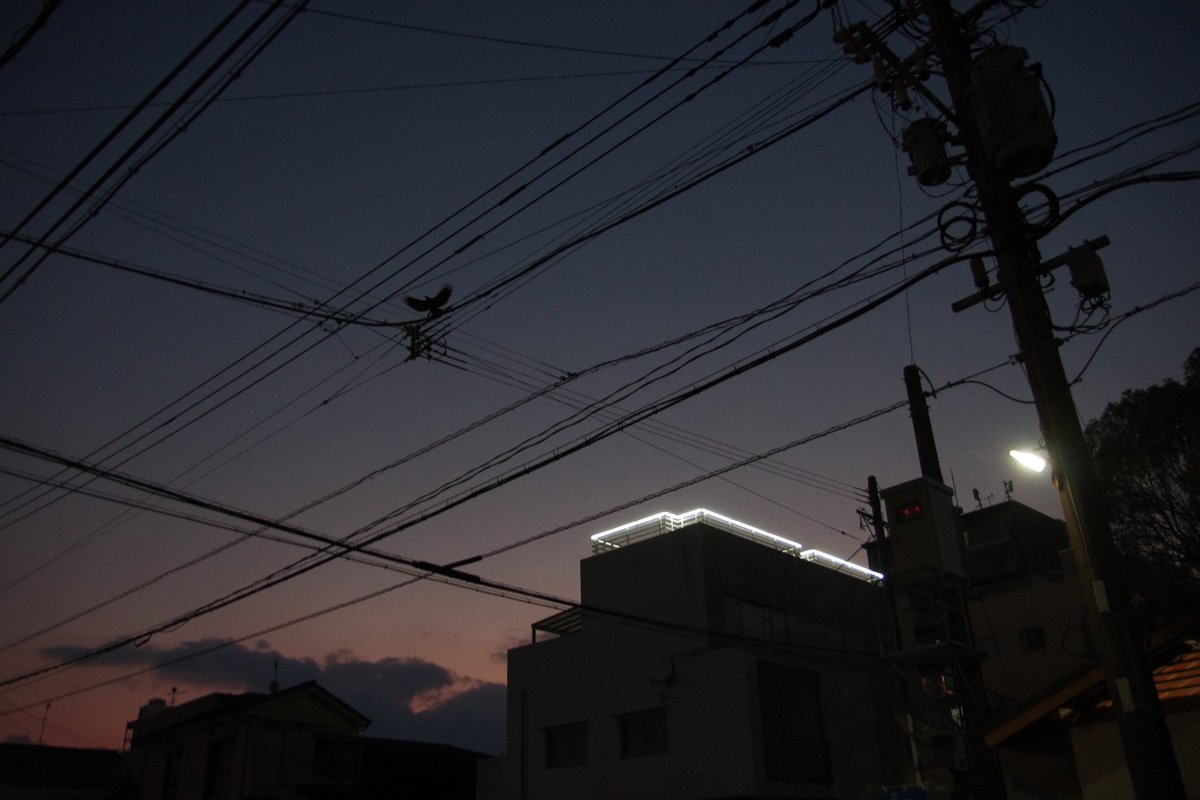 Yoshizo (@huerumegane) on Twitter photo 