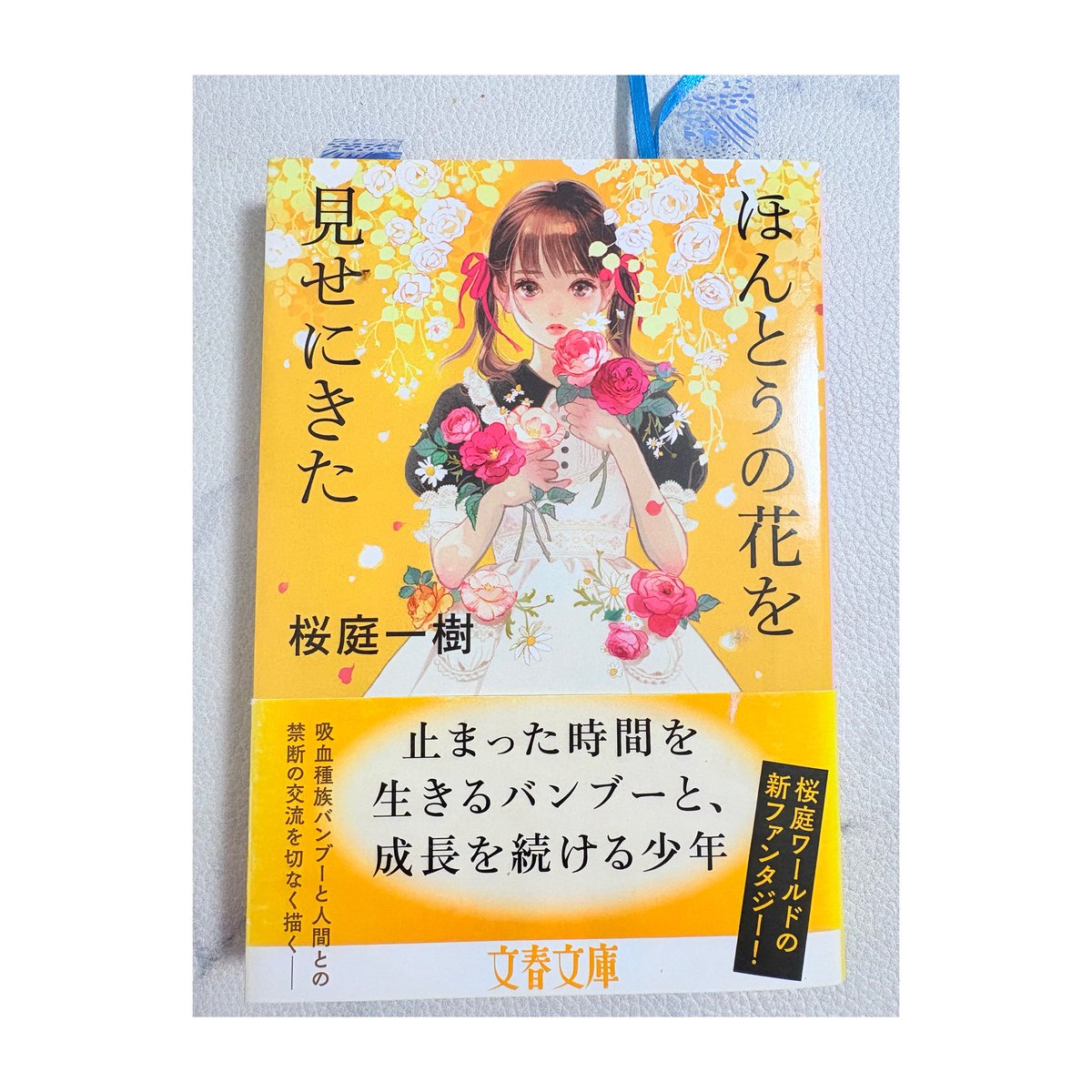 満天星かなた🎪🌟 VLiver🪄 (@kanata_319) / Posts / X