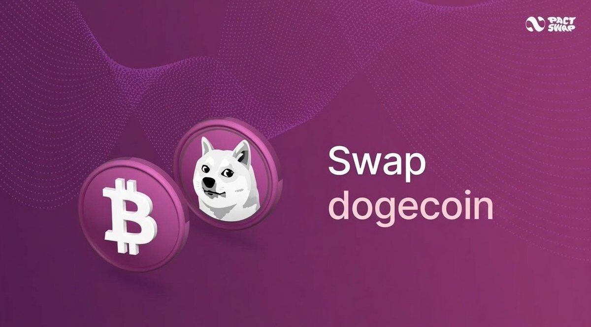 Dogecoin swap (90) foto