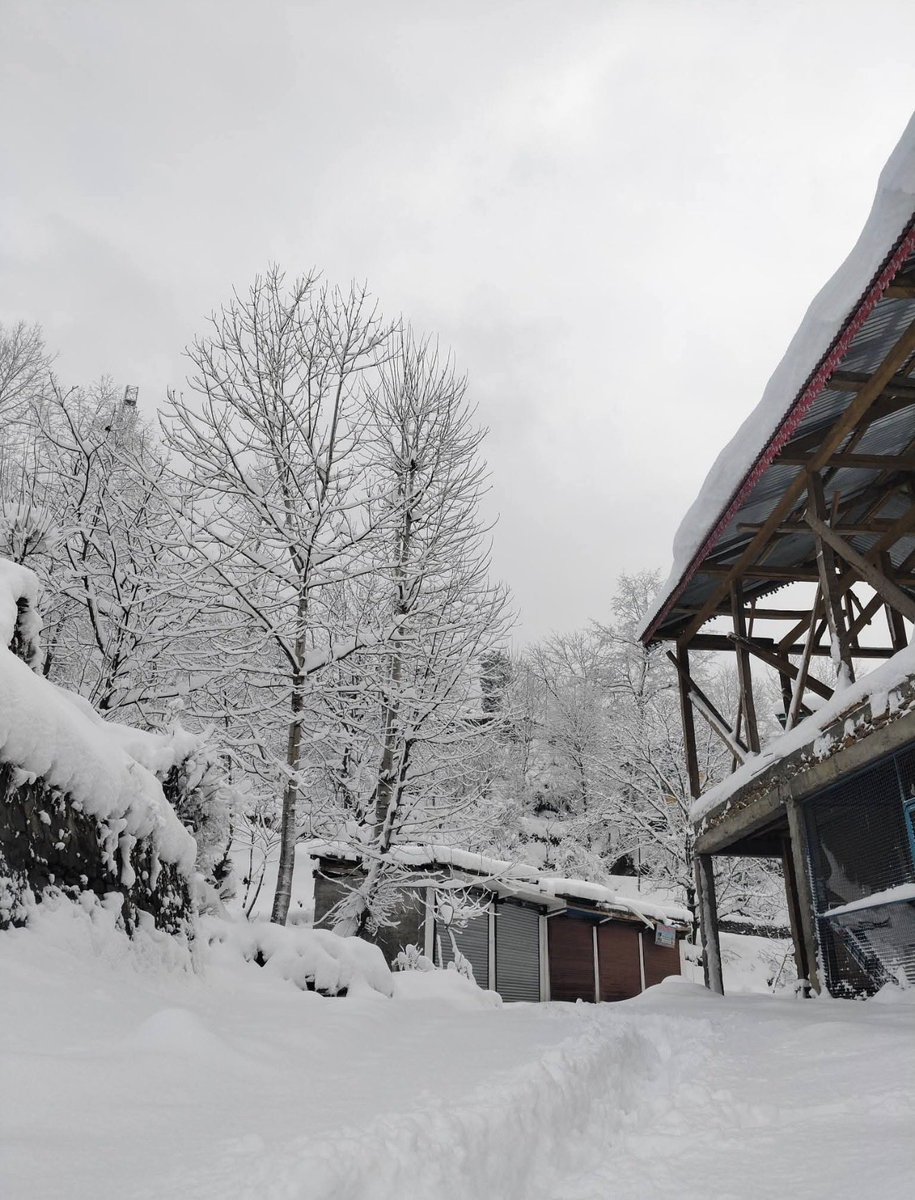 MithunManhas5 tweet media