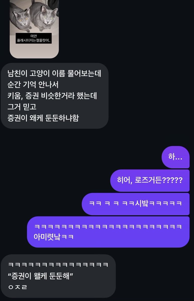 n0nezip's tweet image. 우리 집 고양이 자랑합니다 &amp;lt;키움, 증권&amp;gt;
“증권이 왤케 둔둔해”