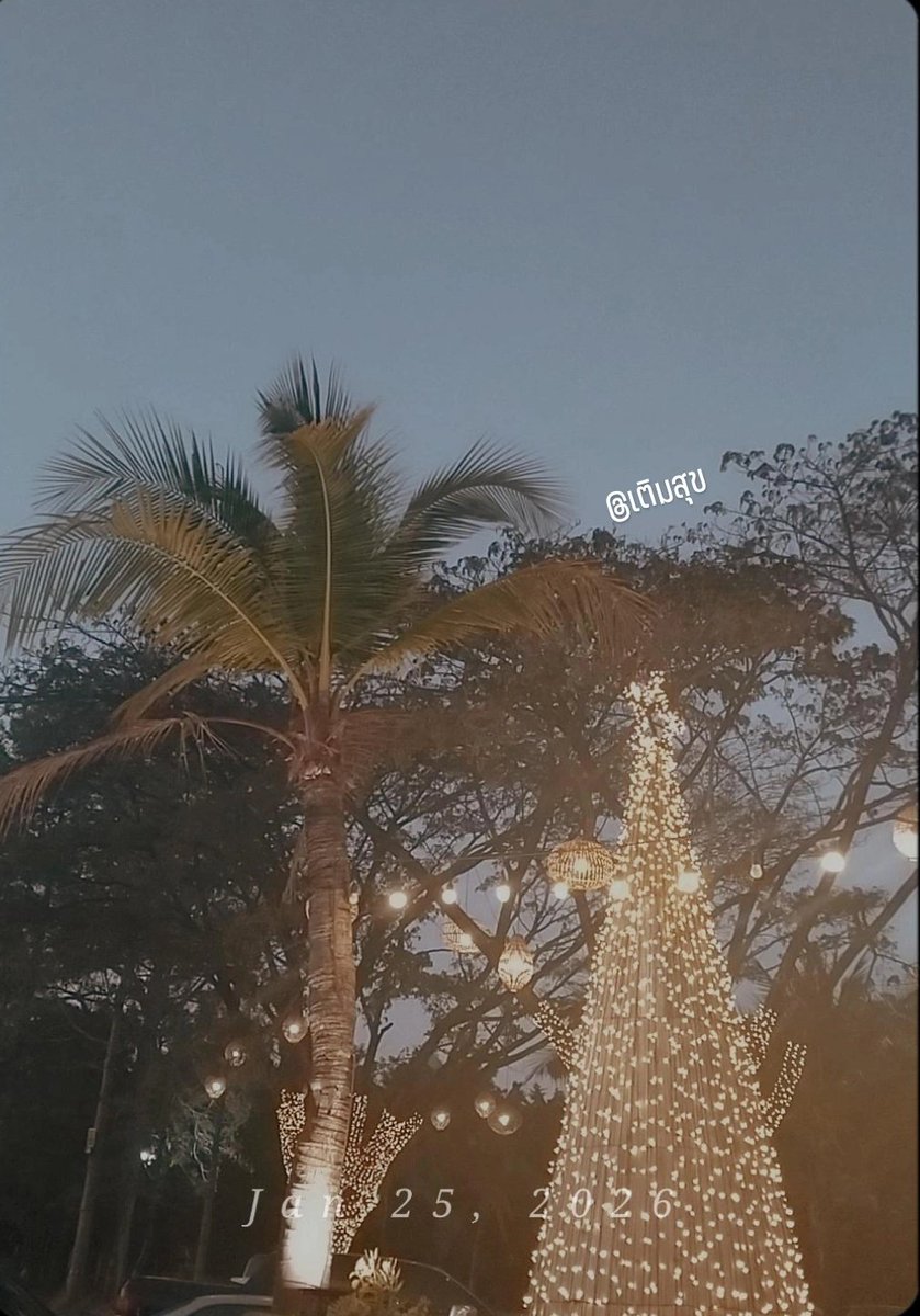 sylviaone_'s tweet image. 28 °c 🥶