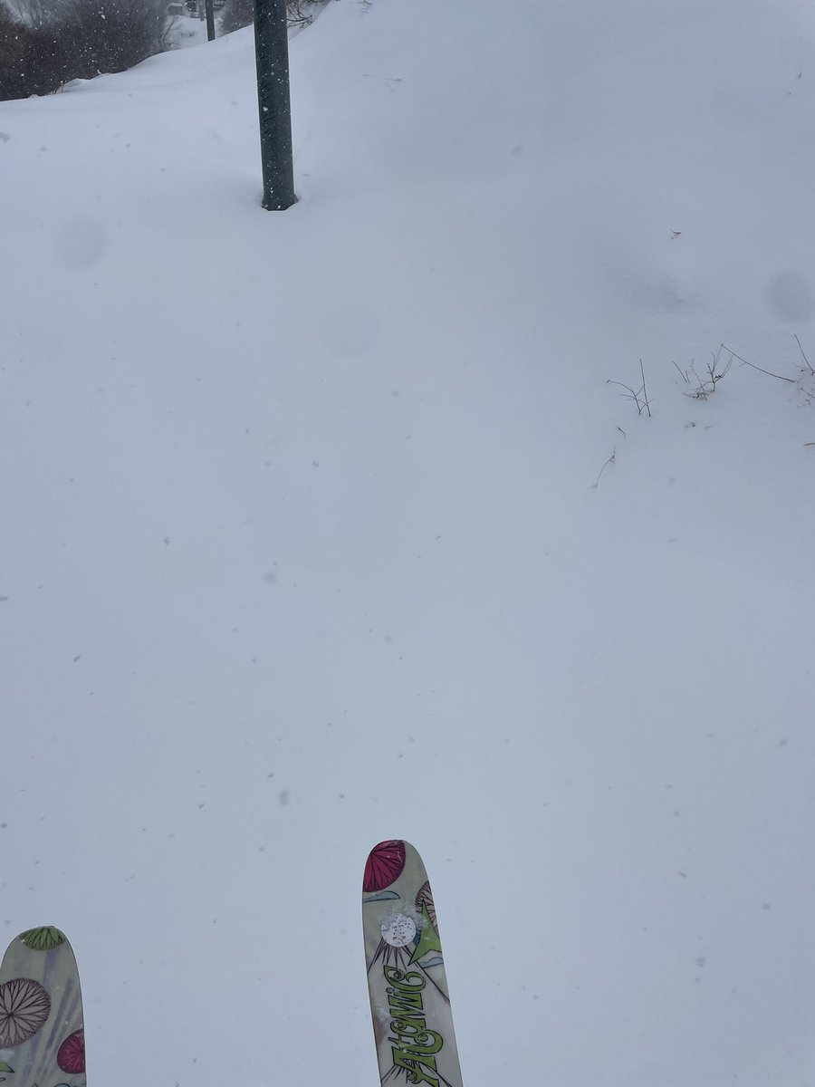 azusalto's tweet photo. いい雪でした☃️
グランスノー奥伊吹
雪の結晶がきれいに見えるタイプも降ってて
チャンピオンコースのコブが楽しくて連日⛷️
今日は100コブコース🤩ができており、楽しみました。
体力が追いつかず、完走は無理だった、、、
土曜日はモンブランのオープンでフワフワ堪能しました！ https://t.co/acV5W33lun