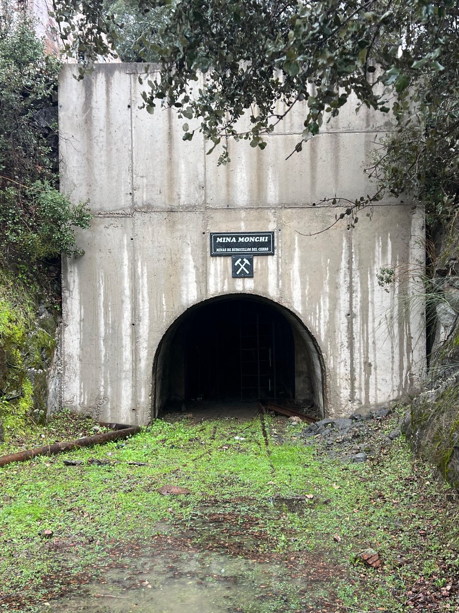 Emil Baggie.tinkaren tweet media