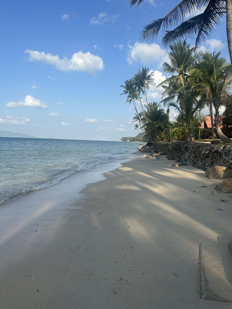 Justanotherpaul tweet media