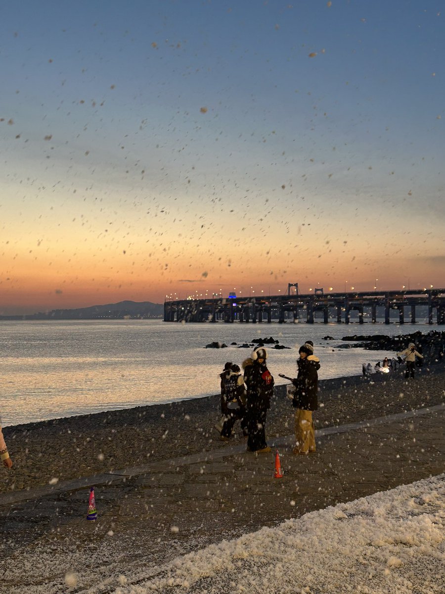 亚寒带金鱼 tweet media