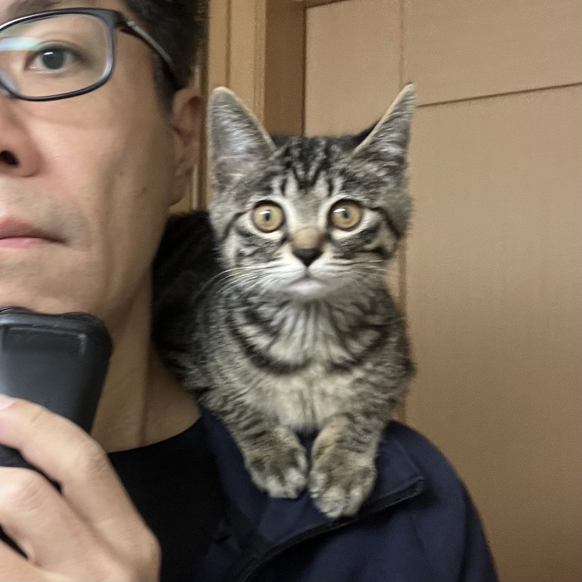かんちゃん tweet media