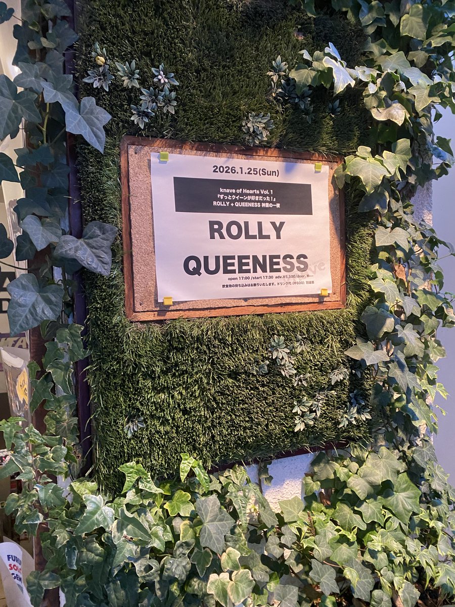 ssfish oo tweet media