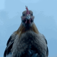 SMOOTH Doee 🧸 (@itssmoothdoee) on Twitter photo 