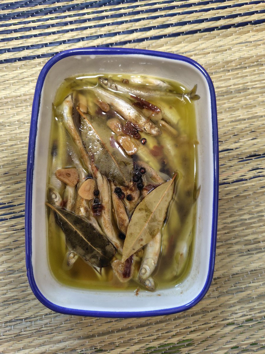 オイルワカサーディン作った