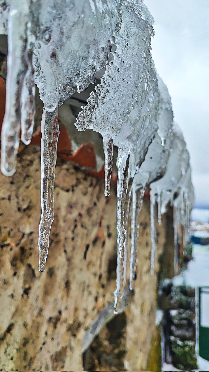 Aníbal Martín tweet media