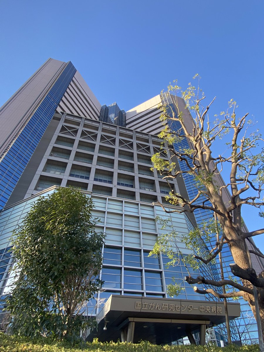 ごみっくす6 備忘録