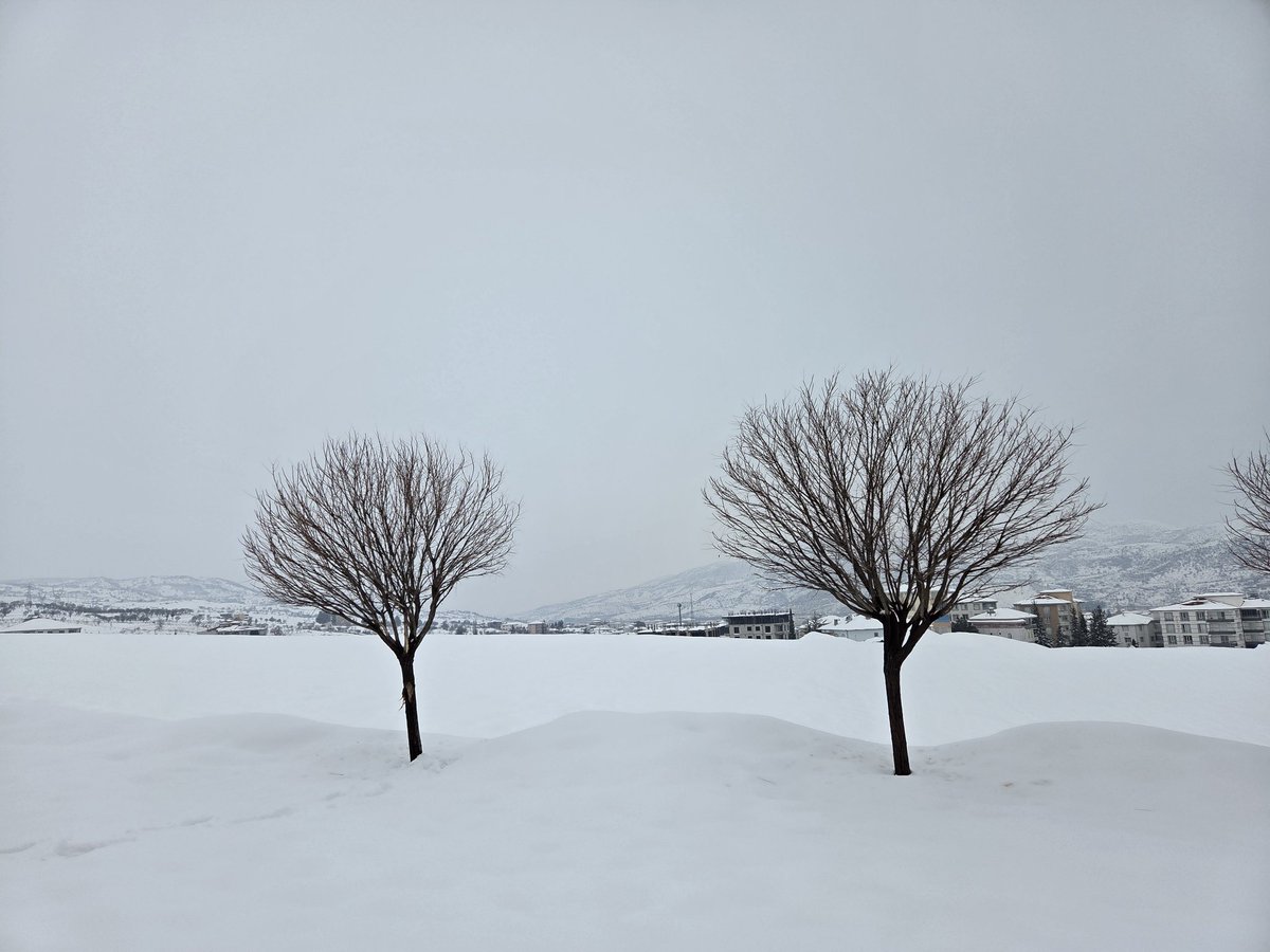 #welat
#welatemin
#berf #zıvıstan