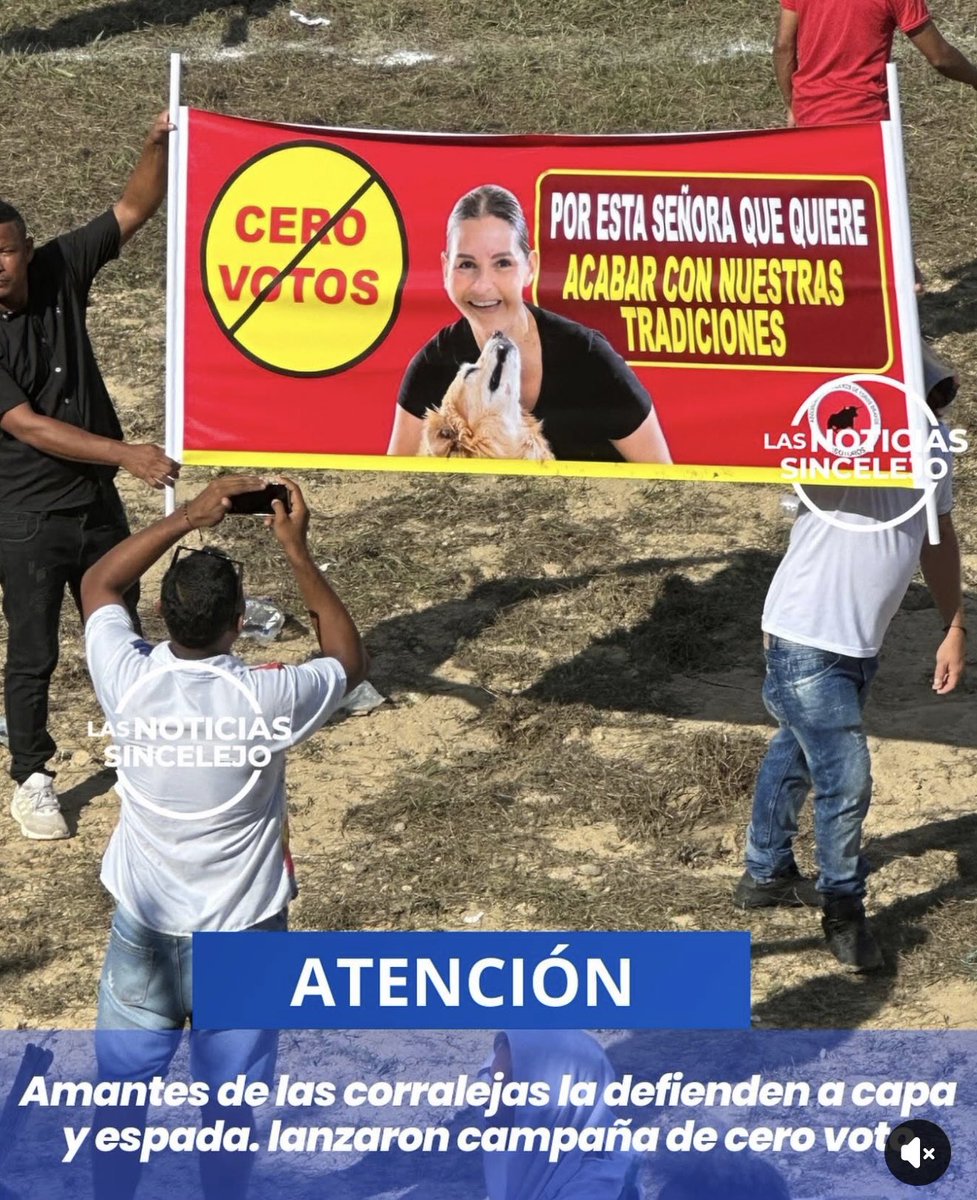 Andrea Padilla Villarraga 🪽🐾 tweet media