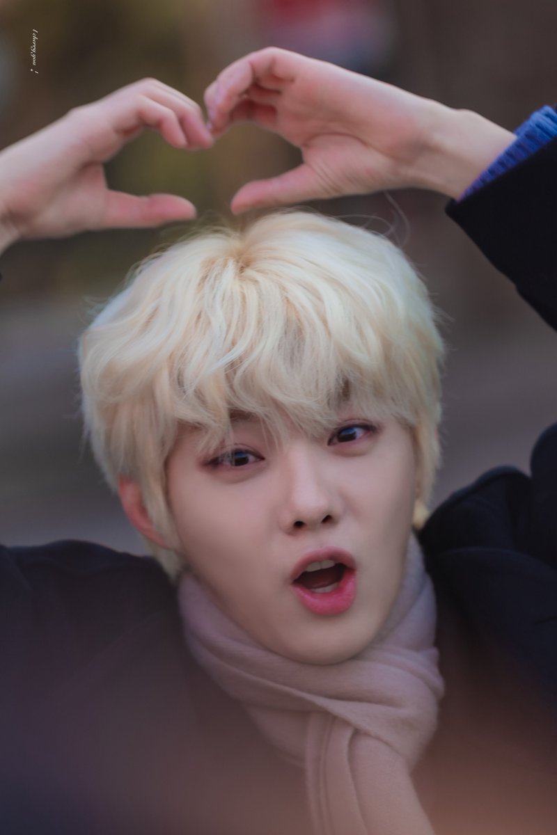 260125D 나르치스와 골드문트
/ 공연 후 퇴근길 

🐤 #박경호 

리본 하트로 가는 험난한 길 😅