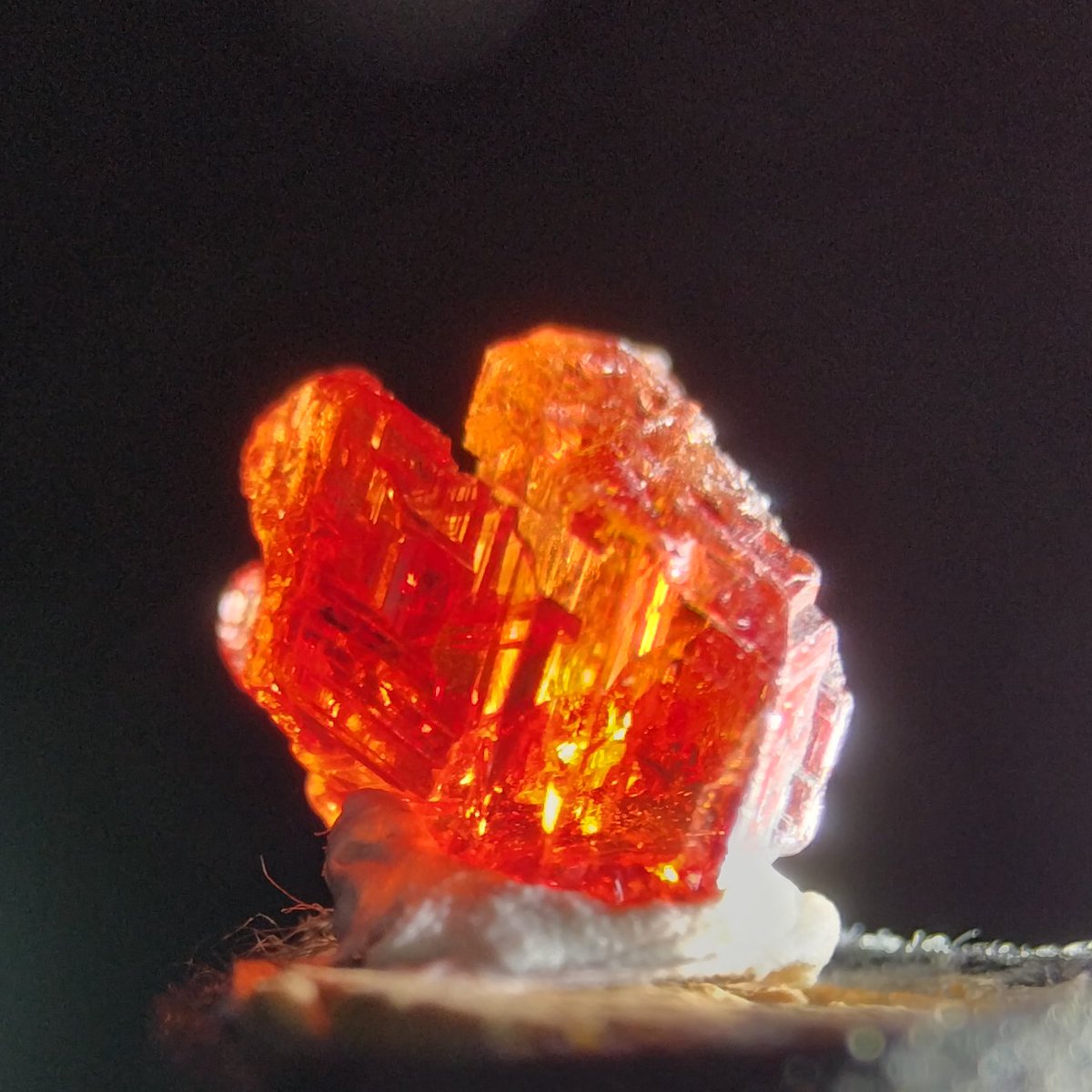 今日は友人と、 ごももさんのお店(@J5M_shop)行ってきました～ 前から