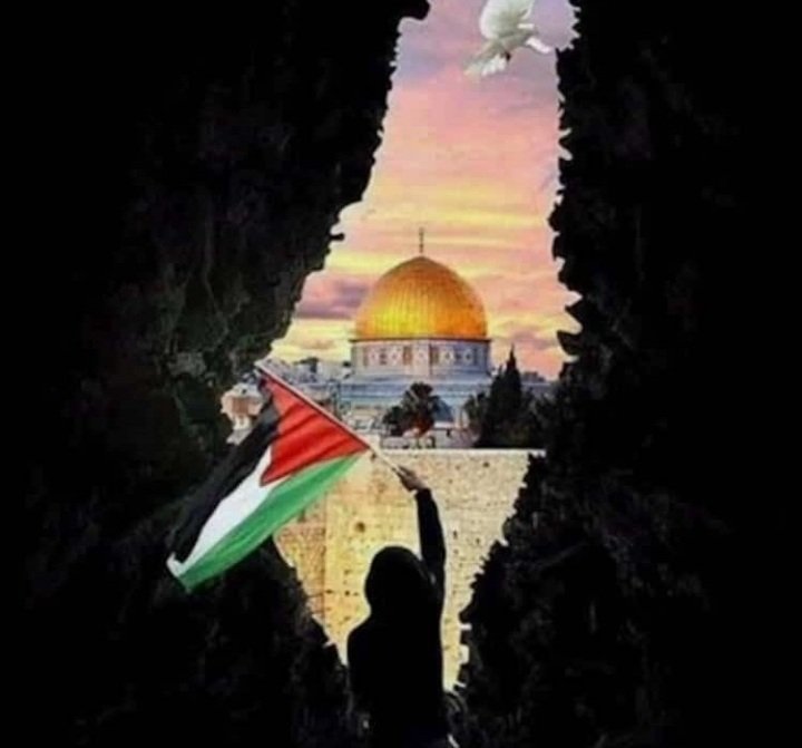 MADIBA1150270's tweet image. #GazaGenocide 
#GazaHolocaust 
#FreePalestina ✊🏾