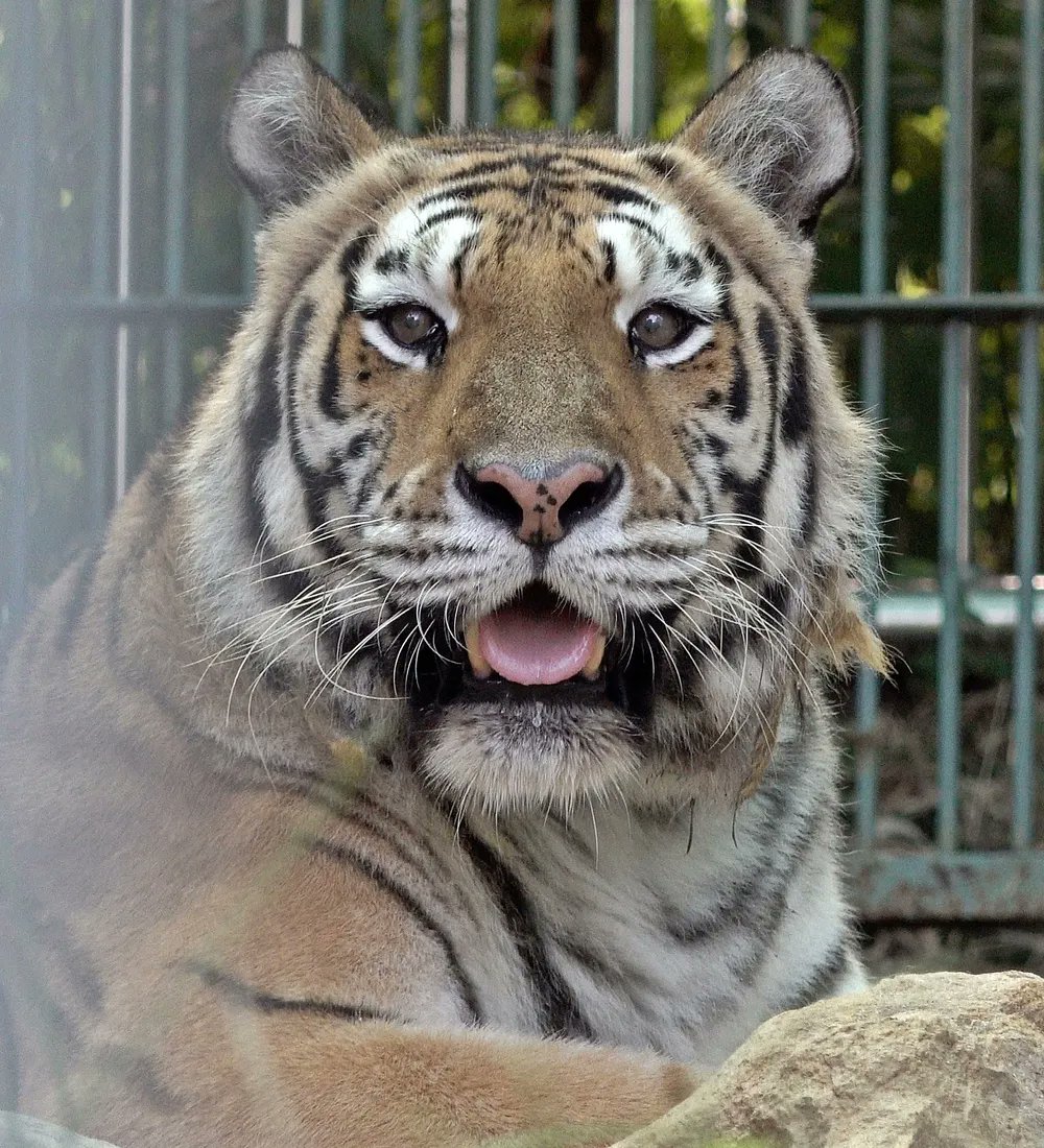 오리넉울 tweet media