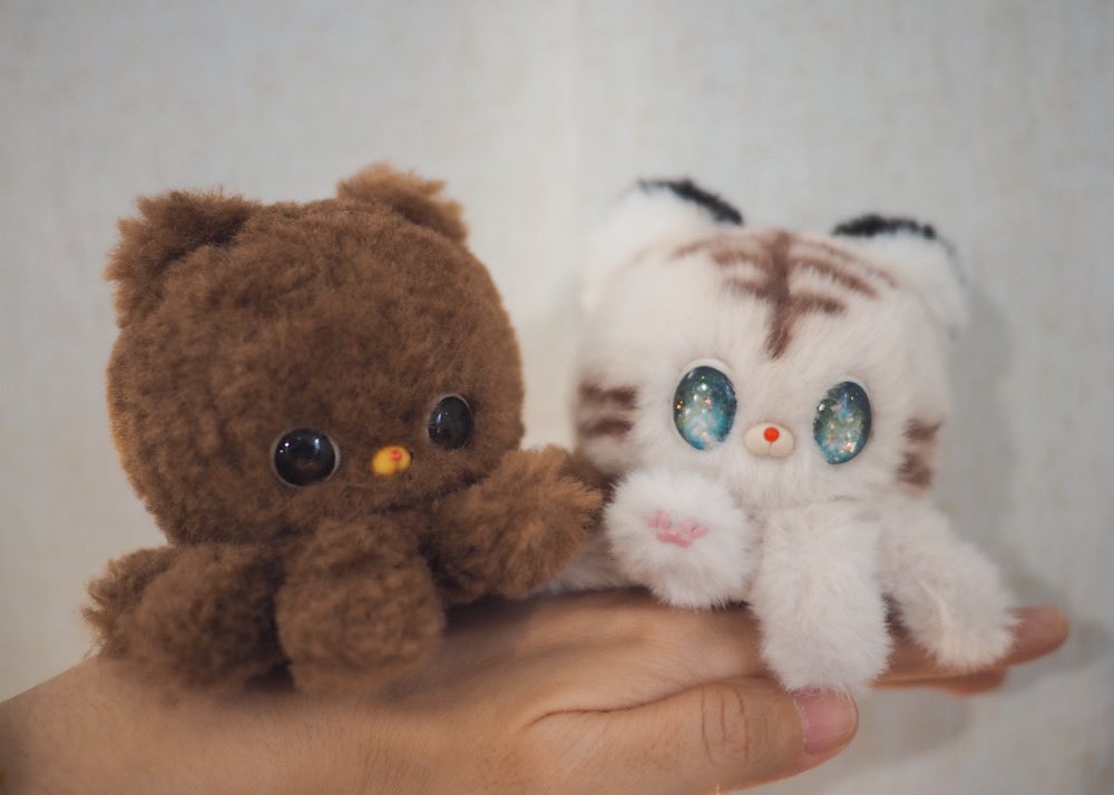 싸샤베어 tweet media