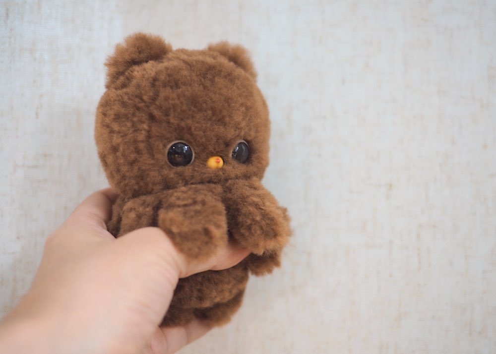 싸샤베어 tweet media