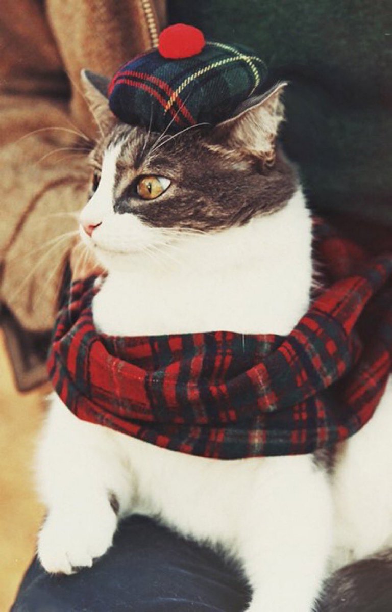 Wishing a happy Burns Night to all my friends around the world celebrating the immortal bard #BurnsNight