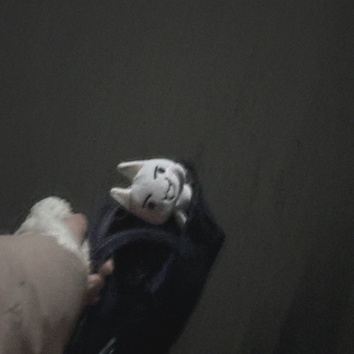 nikuoisiiii's tweet image. 帰るよ、井上