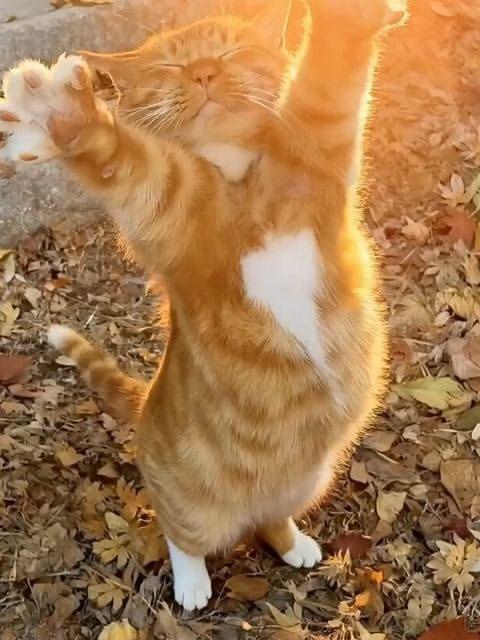 windhyuks's tweet image. 얍