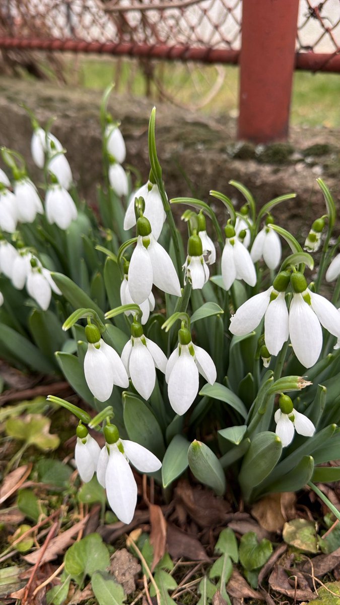 datividimslova's tweet image. Ту негде у Србији