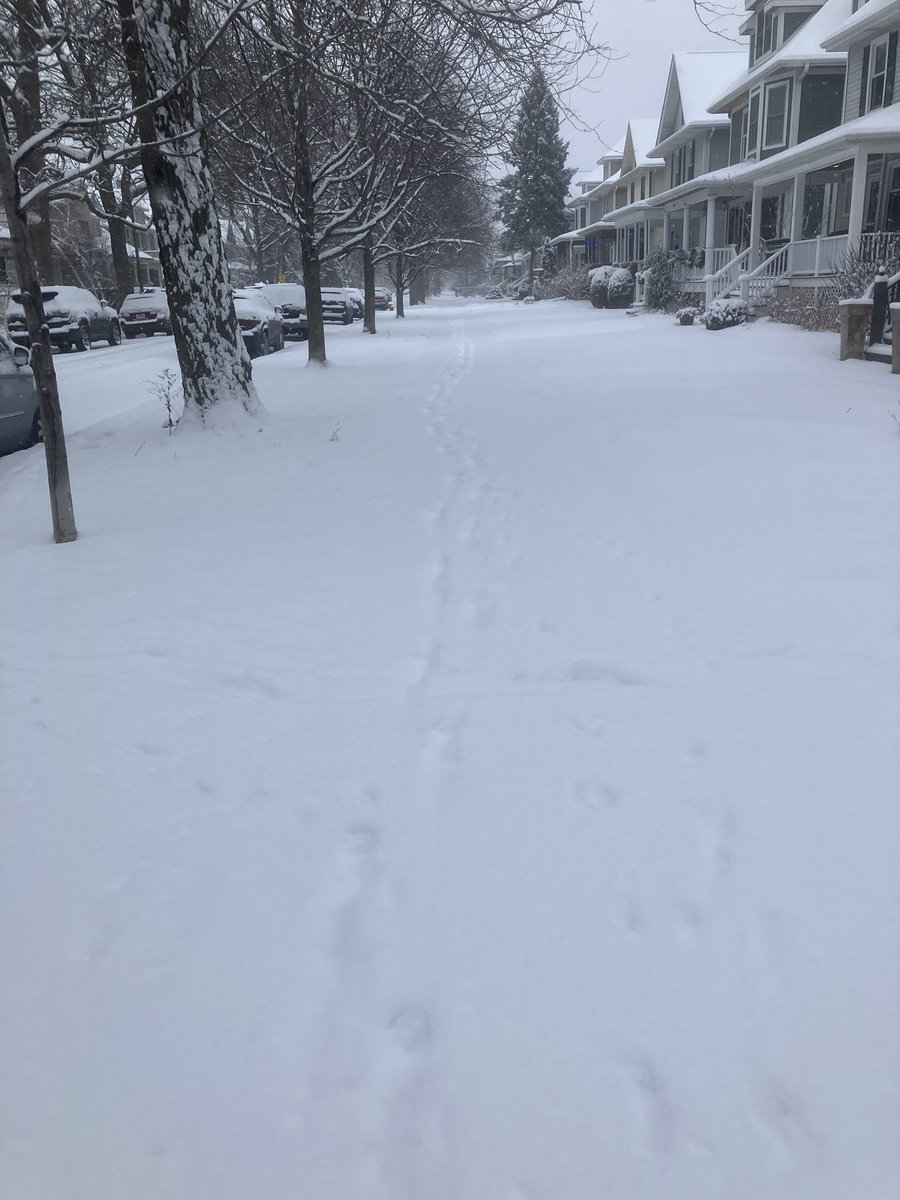 🚶☕️🍩❄️❄️❄️❄️