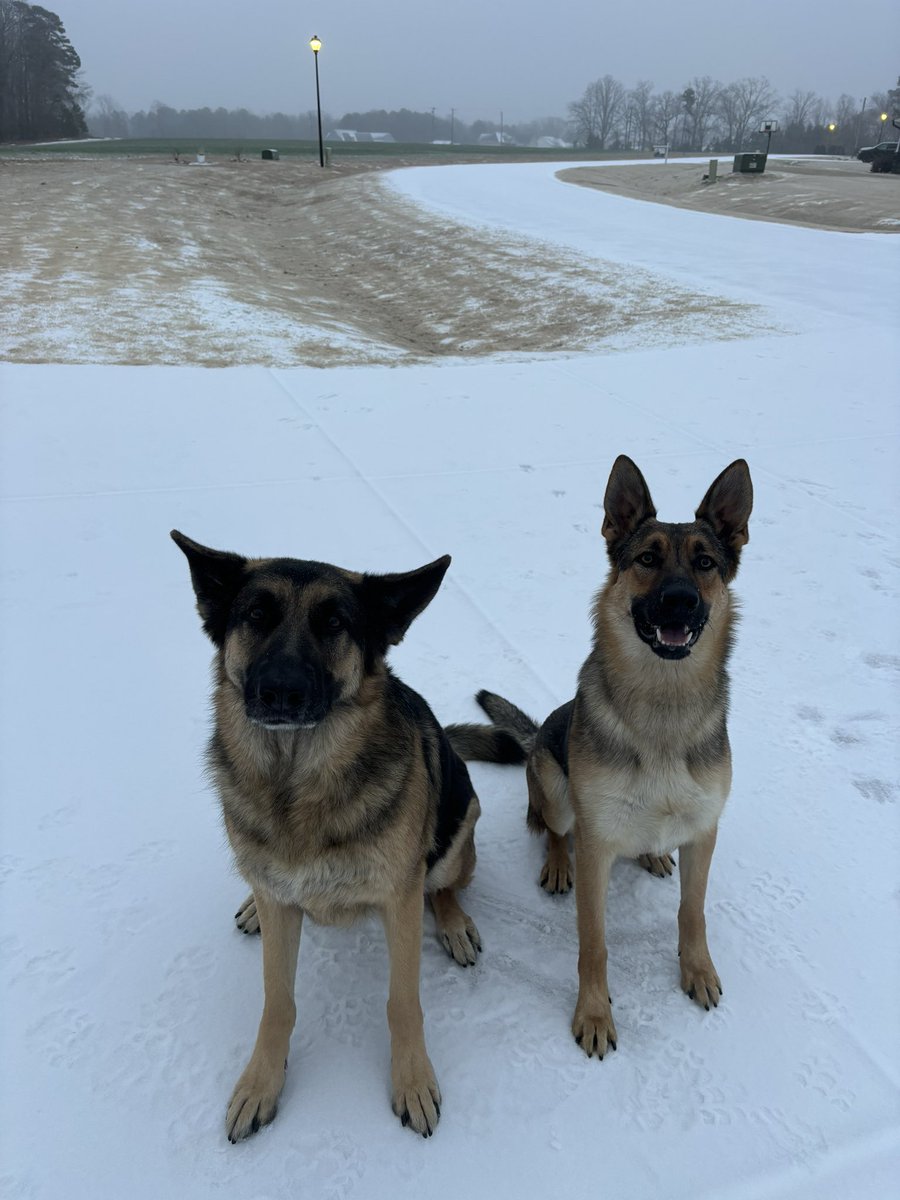 Devin McCaffrey tweet media