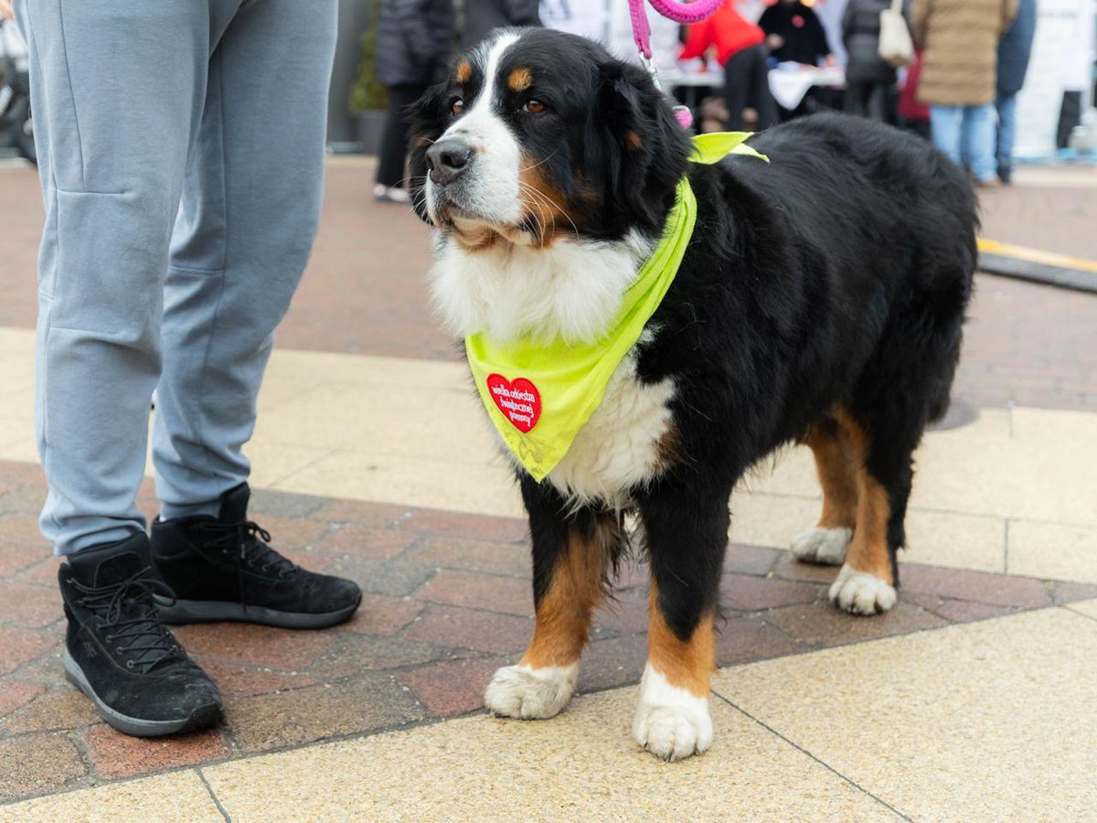 Wojewoda łódzki Dorota Ryl wspiera Wielką Orkiestrę Świątecznej Pomocy💝. 

Dołączyła do kwestujących na rynku łódzkiej Manufaktury i wspólnie z nimi zbierała środki podczas tegorocznego, 34. Finału🎆.

#WOŚP2026

<a href="/manufakturalodz/">MANUFAKTURA</a> 
<a href="/fundacjawosp/">WOŚP</a> 
<a href="/jskrzydlewska/">Joanna Skrzydlewska</a>