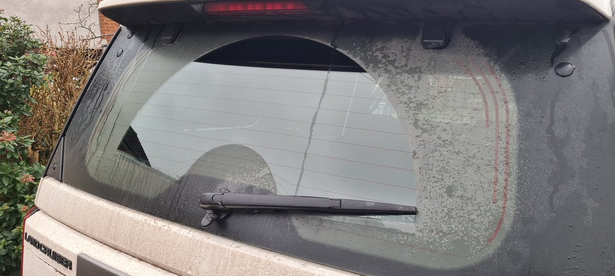 Matt Robinson tweet media