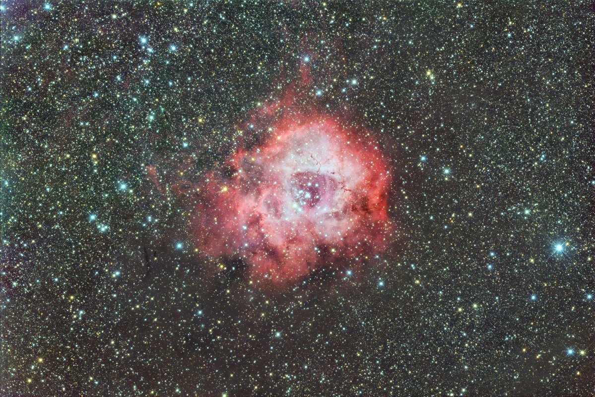 2026年1月17日に撮影した、NGC2237（いっかくじゅう座）ばら星雲です。
撮影地　花立自然公園（茨城県）
タカハシe160ED＋エクスタンダー F5.0 800mm ZWO6200MCPro EM-200TEMMA2M
300sｘ25　Gain100　－20℃　オフセット70
PixInsight　BTX　Photoshop　TopazDeNoiseAI