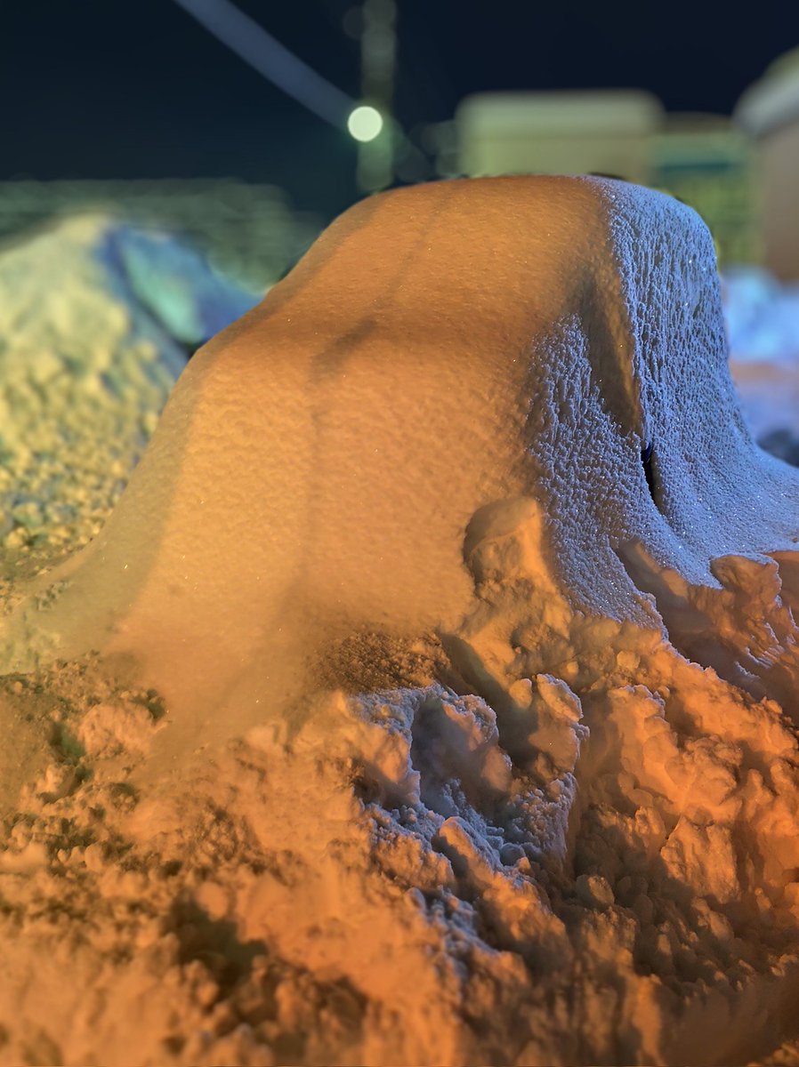 rfchipper's tweet image. 年明け早々、家族が入院続き（現在進行形）でバタバタしてますた
そしてこの大雪よ…もうだめぽ