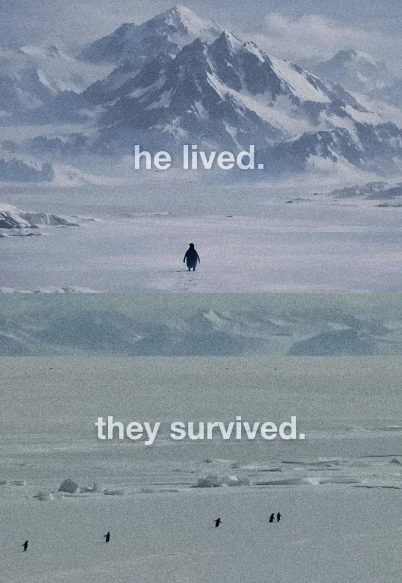 Octosea 🐧 tweet media