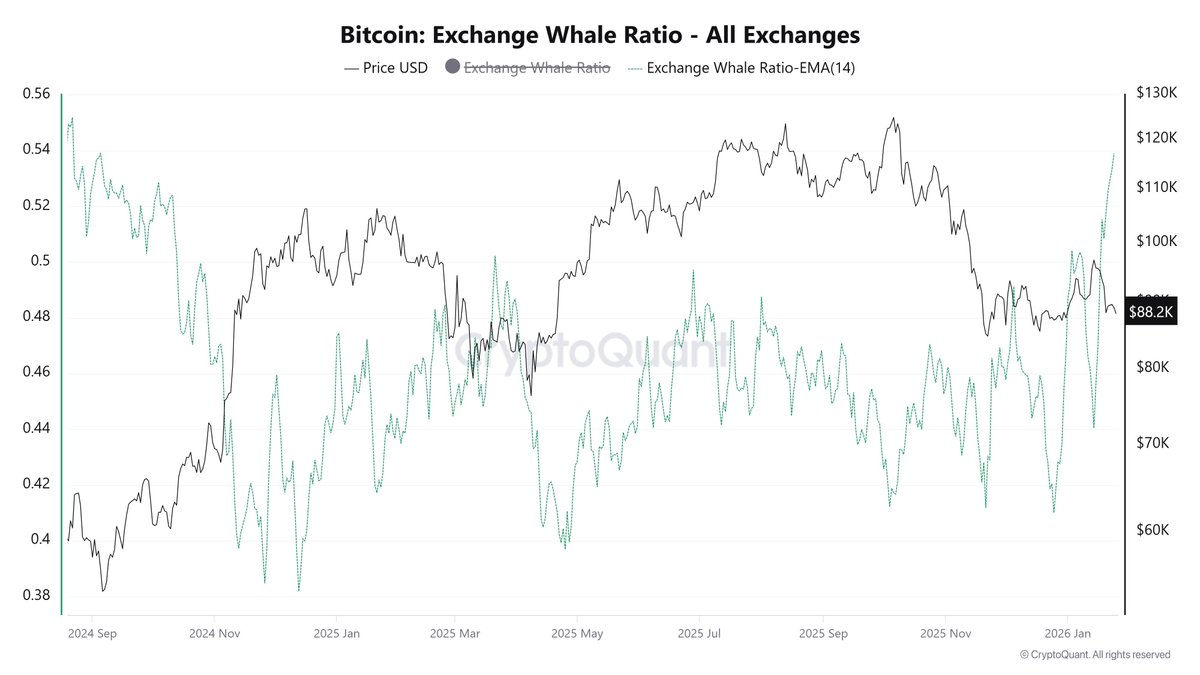 MyTokencap's tweet image. 🚨ALERT: BTC WHALE RATIO JUST EXPLODED!

Bitcoin Exchange Whale Ratio hits 0.54 across all exchanges — highest since Aug 2024.

Binance spikes to 0.443, unseen since March 2025. 

This surge means whales are dumping large volumes onto exchange, historically a signal for…