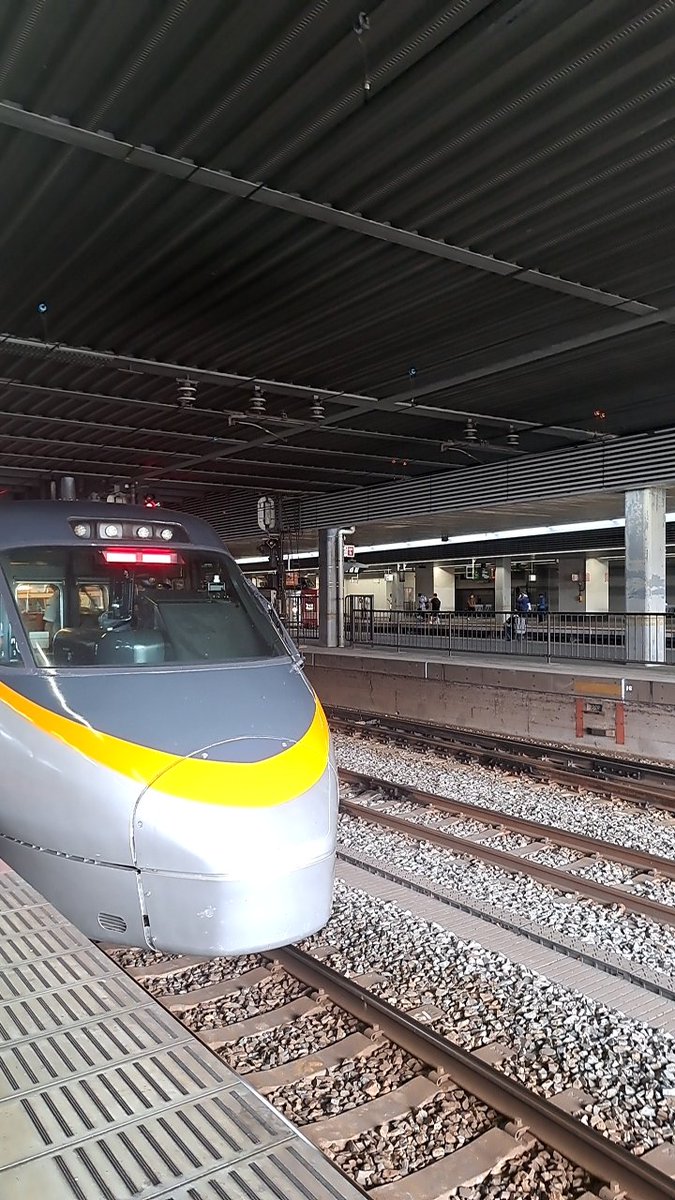 STLの旅、写真垢 tweet media