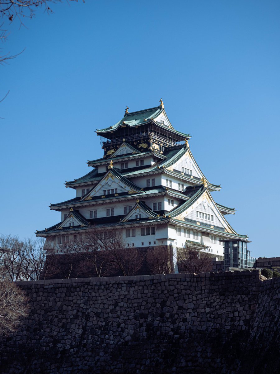 flyccat's tweet photo. 大阪城公園 https://t.co/1S9dudMmvT