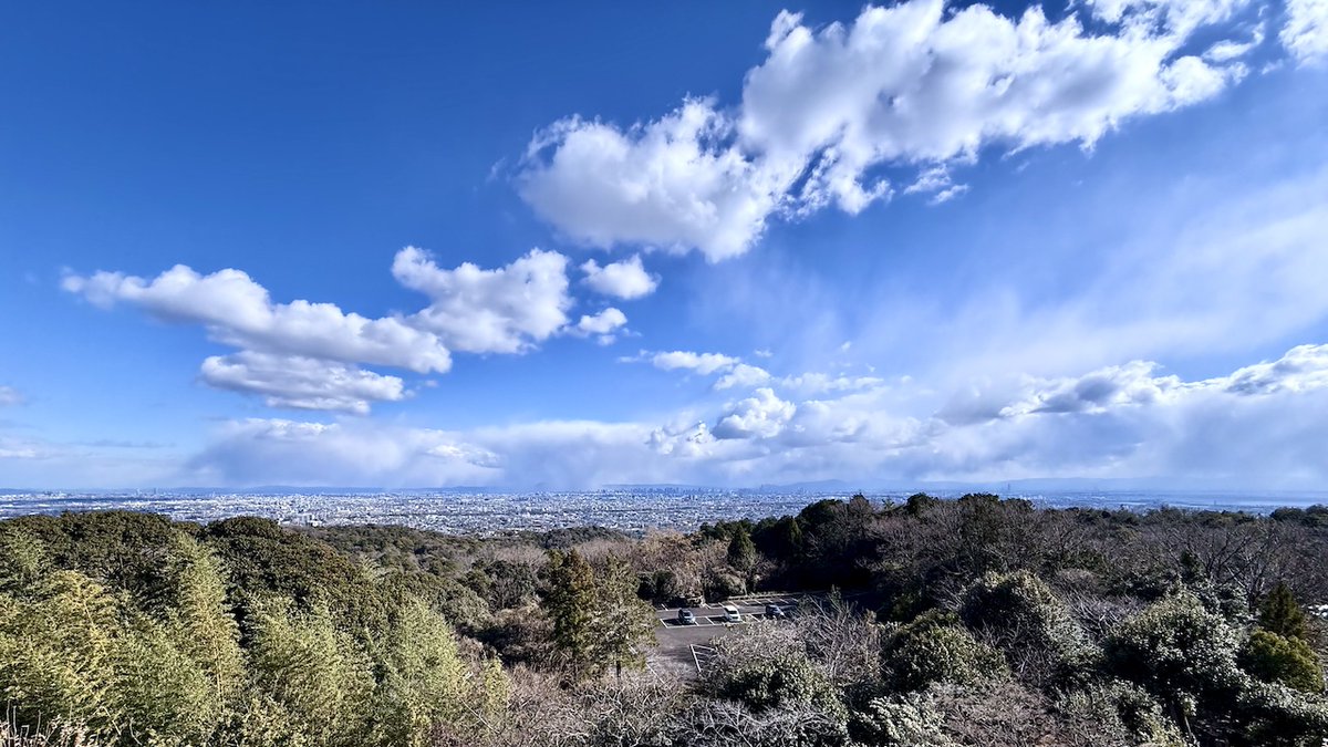 説話抄 八島義郎 説話抄 八島義郎 説話抄 八島義郎 送料無料 「八島義郎先生 説話抄