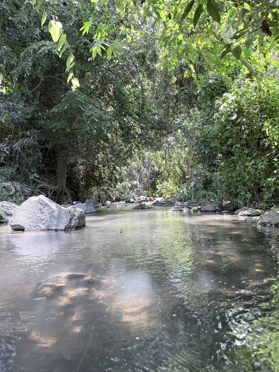 Went for a walk down by the river reconnecting with nature and the God of my  ancestors, Mwene nyaga. 
May nature be favorable to you and yours!