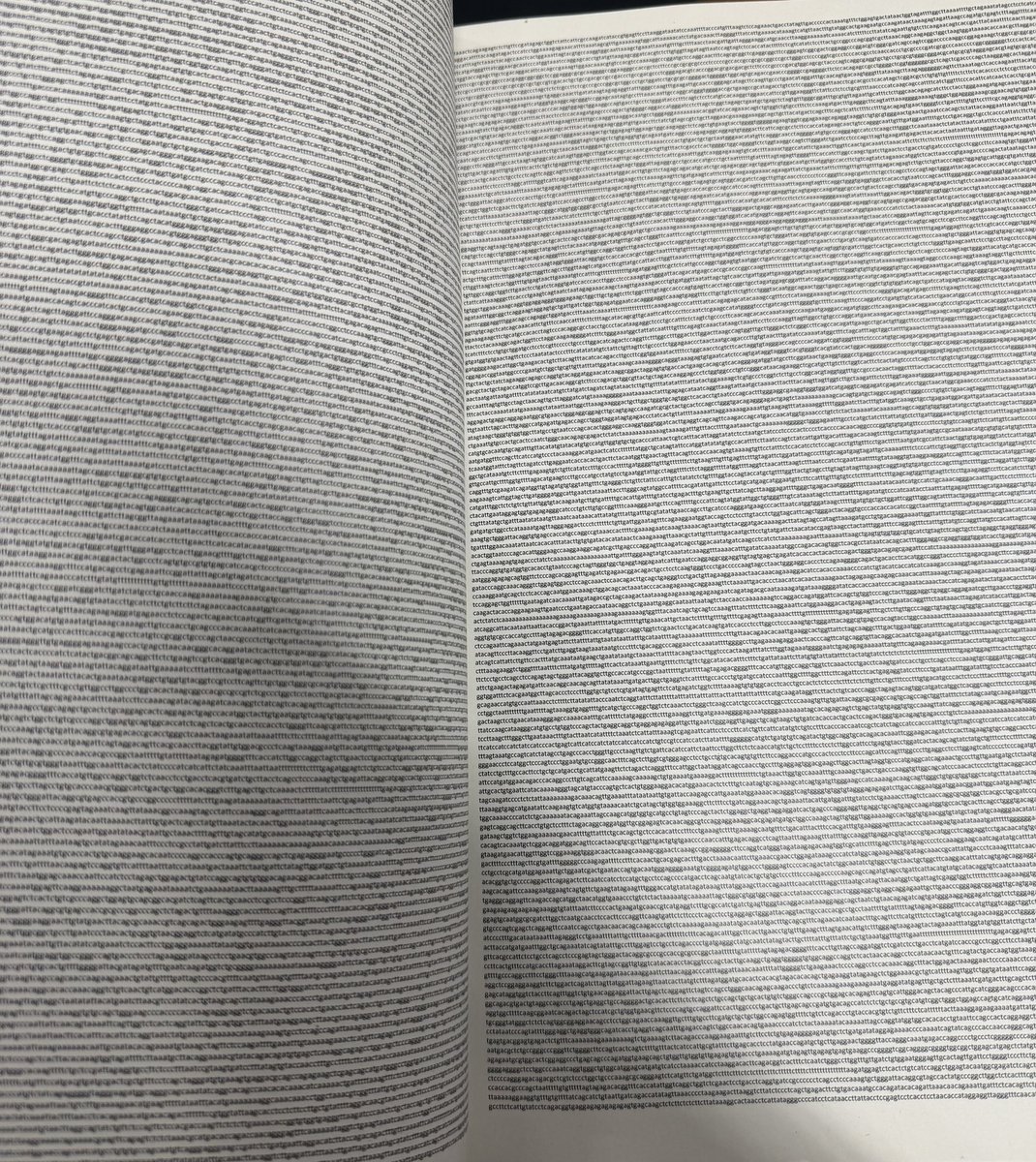 Άδωνις Γεωργιάδης tweet media