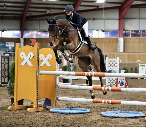 Sox is a beautiful 5yo Irish gelding by Chacoa He stands approx 16.1 Light modern blood model Beautiful mover with a great canter He has competed up to 1.10 level soon ready to progress He has also done plenty of x country schooling He is a horse that… dlvr.it/TQYHVj