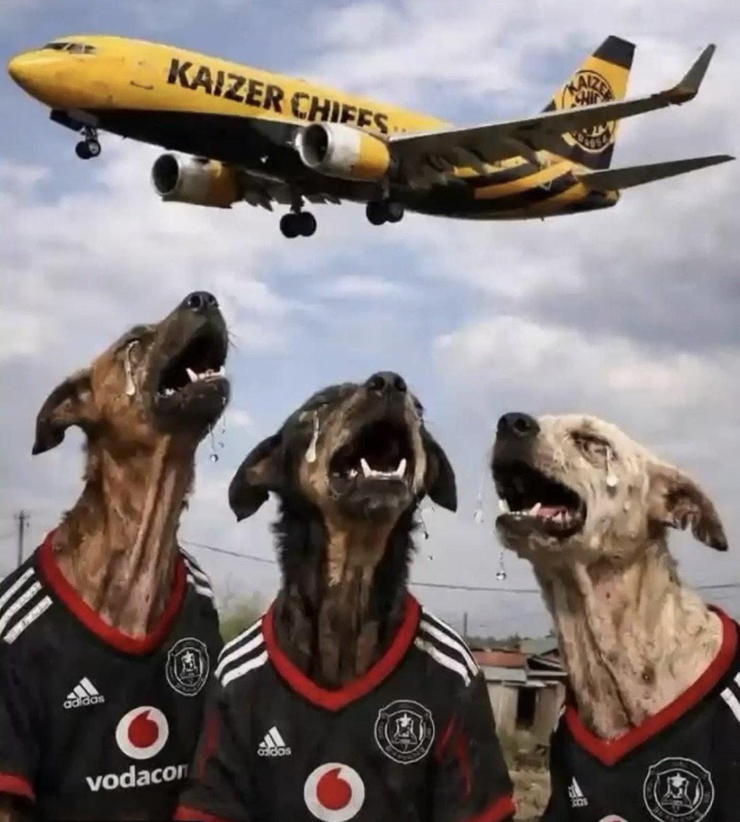 Lord_Ori_'s tweet image. Who did this? 🤣🤣🤣🤣🤣🤣🤣