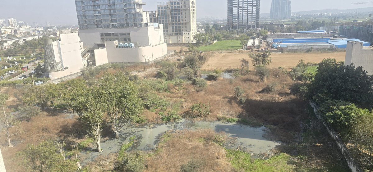 Saumyacritic's tweet image. All #sewage water is being dumped on barren land near residential societies.

 Here, #cleanliness means shifting #garbage from one place to another. 

This is not disposal, it’s #environmental negligence. #authorities must act and ensure proper #sewage #treatment and drainage